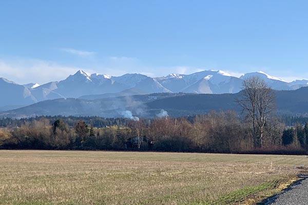 Spit Shoreline in Sequim